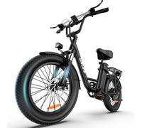 URLIFE Electric Bike for Adults, 20" x 3.0 Fat Tire Electric Bicycle with Colorful Display, 250W Motor Ebike, 48V 13Ah Removable Battery, 100 KM Max, All-Terrain E-Bike for Adults and Teens (BLACK)