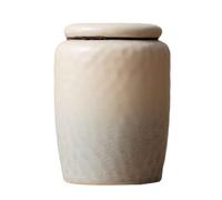 Urn for Ashes Cremation Urns for Ash Urn for Dog Ashes Small Medium Memorial Cremation Jar Non-woven Fabric Sealing Lid Pet Cat Ceramic Material (blue,650ml)