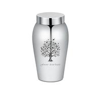 Urns for People Ashes Keepsake Cremation Urn Personal Funeral Urn for Pet or Human Ashes Memorial Ash Keepsake