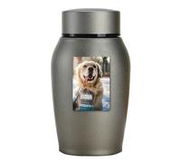 Urns for Pet Ashes, Urns for Cats and Dogs Ashes, Cat Urn for Ashes | Lightweight Memorial Urns for Dogs Made of Stainless Steel, Large Cat, Loved Person, Medium Cat