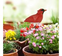 URPIZY Bird Shape Soil Moisture Meter with Singing Alarm, Automatic Night Off Plant Water Tester Sensor Garden Potted Flowers (for Red)