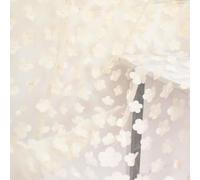 URROMA 1 Yard Embroidery Flower Lace Fabric, Off-White 3D Flower Lace Fabric Mesh Tulle lace for DIY Wedding Dress Costume Accessories Veil Home Decor