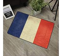 URSOPET Non-Slip Mat Microfiber Bathroom Rug Shower Mat, French Sovereign State Flag of Country France in Official Colors Landscape,Ultra Soft and Water Absorbent Bath Rug, 16x 24 in