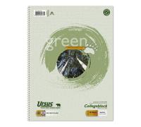 Ursus Green 608571020 A4 College Writing Pad Squared 80 Sheets, 60 g/m², 5 mm