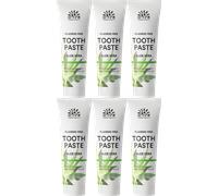 Urtekram Flouride Free Aloe Vera Toothpaste - Vegan - Organic - Natural Ingredients - Urtekram Dental, 75ml (Pack of 1)