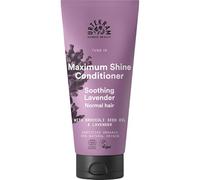 Urtekram Soothing Lavender Conditioner for Normal Hair, 180 ml | COSMOS ORGANIC certified by Ecocert Greenlife; With broccoli seed oil for smooth, shiny, easy-to-brush hair