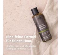 Urtekram Rosemary Shampoo, 250ml