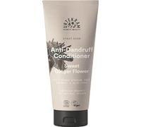 Urtekram Sweet Ginger Flower Anti-Dandruff Conditioner, 180 ml | COSMOS ORGANIC certified by Ecocert Greenlife; With ginseng, aloe vera and jojoba oil for softness and shine