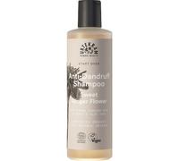 Urtekram - Urtekram Sweet Ginger Flower Anti-Dandruff Shampoo - 250ml