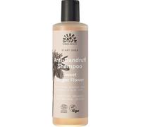 Urtekram Sweet Ginger Flower Anti-Dandruff Shampoo 250 ml