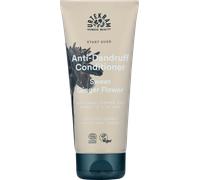Urtekram Sweet Ginger Flower Start Over Anti-Dandruff Conditioner 180 ml