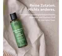 Urtekram Lemongrass Citronella Shampoo 250 ml