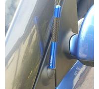 URYYRIT Car Short Radio Fm/Am Signal Radio Antenna, For Smart Fortwo Forfour 450 451 453, Styling Retrofit Exterior Decoration Accessories,blue