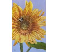 US Academic diary 2025-2026 week to view, student diary with Bee on Sunflower artwork by Sally Sturgess: August 25 - July 26. 108 pages and glossy ... lover, sunflower lover or wildlife enthusiast