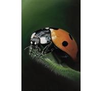 US Academic diary 2025-2026 week to view, student diary with Ladybug artwork by Sally Sturgess: August 25 - July 26. 108 pages and glossy cover. Perfect gift for student or ladybug lover