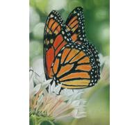 US Academic diary 2025-2026 week to view, student diary with Monarch Butterfly artwork by Sally Sturgess: August 25 - July 26. 108 pages and glossy cover. Perfect gift for student or butterfly lover