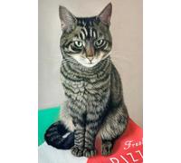 US Academic diary 2025-2026 week to view, student diary with Tabby Cat artwork by Sally Sturgess: August 25 - July 26. 108 pages and glossy cover. Perfect gift for student or cat lover