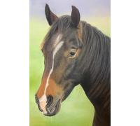 US Academic diary 2025-2026 week to view, with Horse artwork by Sally Sturgess: August 25 - July 26. 108 pages and glossy cover. Perfect gift for student or horse lover