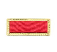 US Army Meritorious Unit Citation