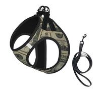 Us Dollar Currency Money Print Adjustable Dog Harness Collar And Leash Set, Reflective Breathable Lightweight Vest For Walking