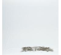 US Maple - Acre Thrills [VINYL]