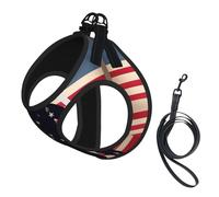 US Military Soldiers Patriotic Memorial Day Print Dog Harness with Leash Set with Thickened Padded Vest for Extra-Small/Small Medium Dogs