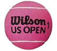 US OPEN 5" MINI JUMBO TBALL PK DEFL