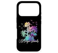 US Virgin Islands Pride Beach Vacation USVI Vintage Case for iPhone 17 Pro