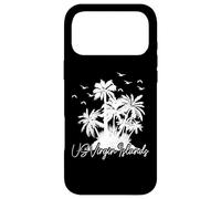 US Virgin Islands Pride Beach Vacation USVI Vintage Case for iPhone 17 Pro Max