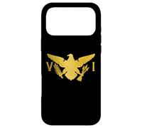 US Virgin Islands USVI Flag Pride Souvenir Case for iPhone 17 Pro Max