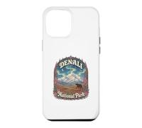 USA Alaska Aurora Vintage Denali National Park Case for iPhone 12 Pro Max