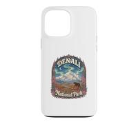 USA Alaska Aurora Vintage Denali National Park Case for iPhone 13 Pro Max