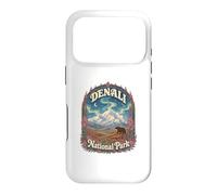 USA Alaska Aurora Vintage Denali National Park Case for iPhone 17 Pro