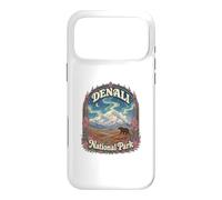 USA Alaska Aurora Vintage Denali National Park Case for iPhone 17 Pro Max