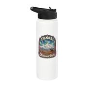 USA Alaska Aurora Vintage Denali National Park Stainless Steel Insulated Water Bottle