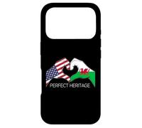 USA and Wales Welsh American Perfect Heritage Heart Case for iPhone 17 Pro