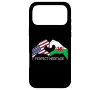 USA and Wales Welsh American Perfect Heritage Heart Case for iPhone 17 Pro Max
