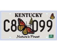 - USA car LICENSE PLATE - 30x15 cms metal replica: KENTUCKY (C21)
