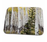 Usa Colorado, Mountains, Fir, Aspen Trees - Jamie And Judy Wild Trees Floor Mats Washable Bath Rug Low Profile Barrier Mat For Bathroom Outdoor Living Room 40X60 Cm
