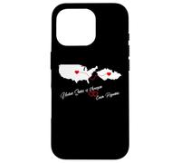 USA & Czech Republic love for 2 countries hearts connection Case for iPhone 16 Pro