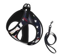 Usa Flag American Spartan Print Pet Leash Vest,Breathable Mesh Pet Harness, Reflective For Small Medium Dogs Safe Easy Walking