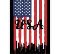 USA flag notebook: USA notebook/journal