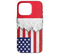 USA & France Flags - United States of America, French Case for iPhone 16 Pro