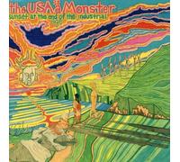 USA Is A Monster - Sunset At The End Of The Industrial Age