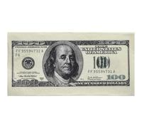 USA Party Napkins - 100 Dollars - Pack of 10
