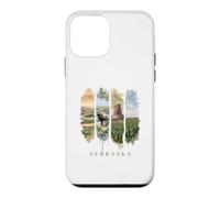 USA State Buffalo Windmills Vacation Nebraska Case for iPhone 12 mini