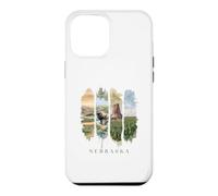 USA State Buffalo Windmills Vacation Nebraska Case for iPhone 12 Pro Max