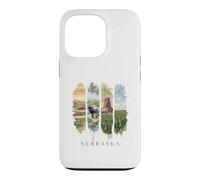 USA State Buffalo Windmills Vacation Nebraska Case for iPhone 13 Pro