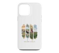 USA State Buffalo Windmills Vacation Nebraska Case for iPhone 13 Pro Max
