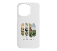 USA State Buffalo Windmills Vacation Nebraska Case for iPhone 14 Pro Max